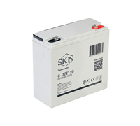 SKN 6-DZF-20 (12V22.5A/H C5)