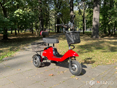 Электротрицикл TRION Partner NOVA PRO [без АКБ] - Фото 6